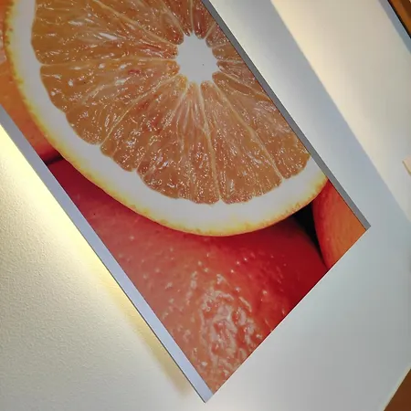 Motel Orange Wings 3*